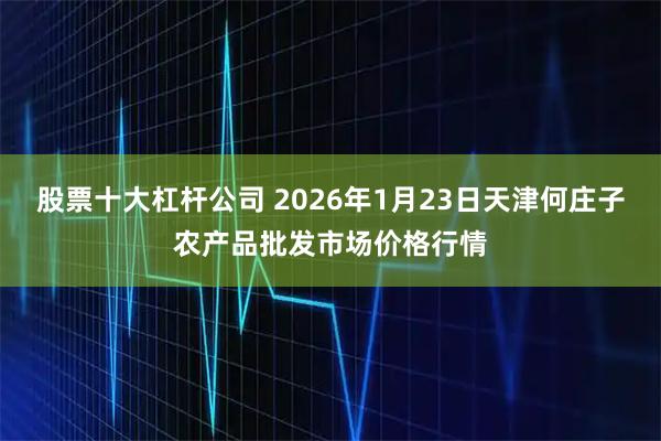 股票十大杠杆公司 2026年1月23日天津何庄子农产品批发市场价格行情